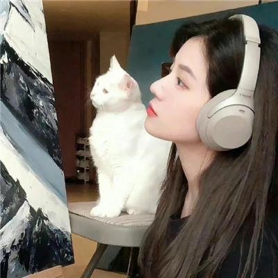 疯狂游戏